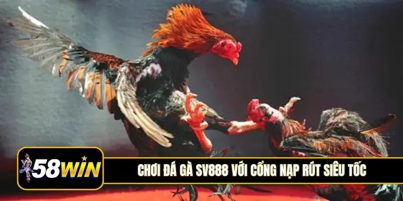 Chơi đá gà SV888 với cổng nạp rút siêu tốc dưới 3 phút