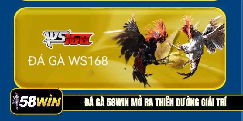 Đá gà 58Win mở ra thiên đường giải trí