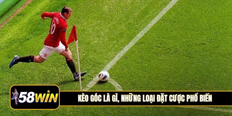 Kèo góc là gì, những loại đặt cược phổ biến nhất