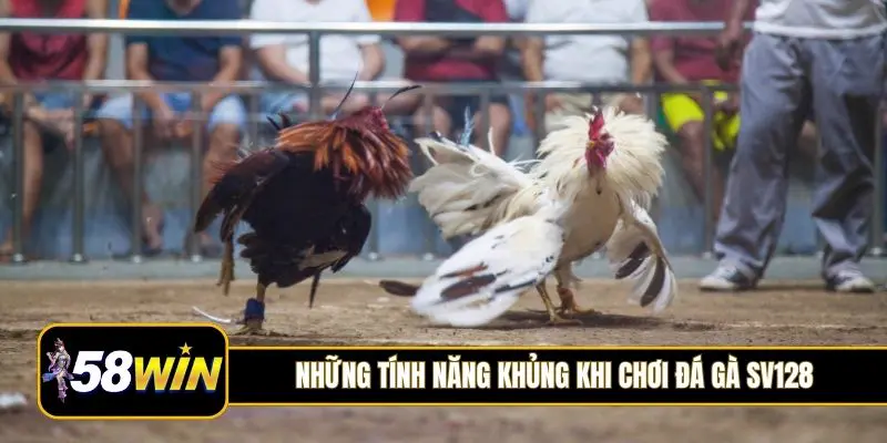 Những tính năng khủng khi chơi đá gà SV128