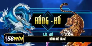 rồng hổ là gì