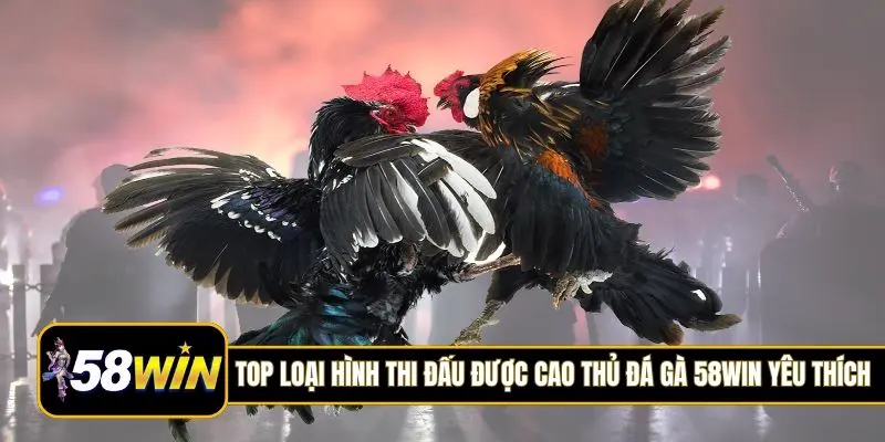 Top loại hình thi đấu được cao thủ đá gà 58Win yêu thích