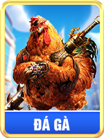 Sảnh đá gà 58win